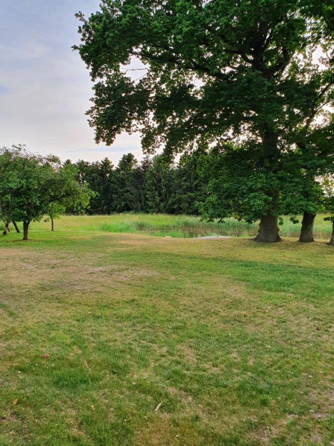 Lillevang Bed & Breakfast Sorø Esterno foto
